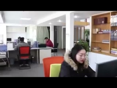 Σχεδιάγραμμα επιχείρησης