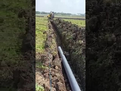 8 εκσκαφέας τόνου με τη μηχανή Yanmar