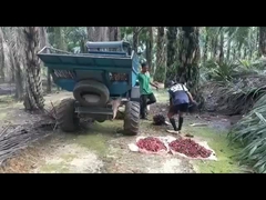 βάρος 1250kg μηχανών συγκομιδής φοινικέλαιου αμαξιών 1325mm ανοικτό με Grapple