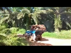 Υδραυλικό σύστημα Μηχανή ελκυστήρα φοινικέλαιου για αποτελεσματική εξαγωγή φοινικέλαιου