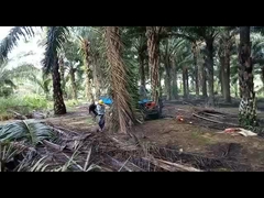 τρακτέρ φοινικέλαιου 2150mm Wheelbase με τη γεωργική ικανότητα δεξαμενών καυσίμων ροδών 11L