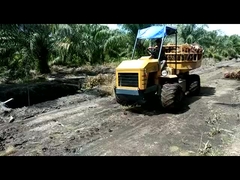 Υδραυλικό Μίνι Τρακτέρ Γεωργίας 14hp Μηχανή Τρακτέρ Δύναμης Για Φυτοκαλλιέργειες Αλιέλου